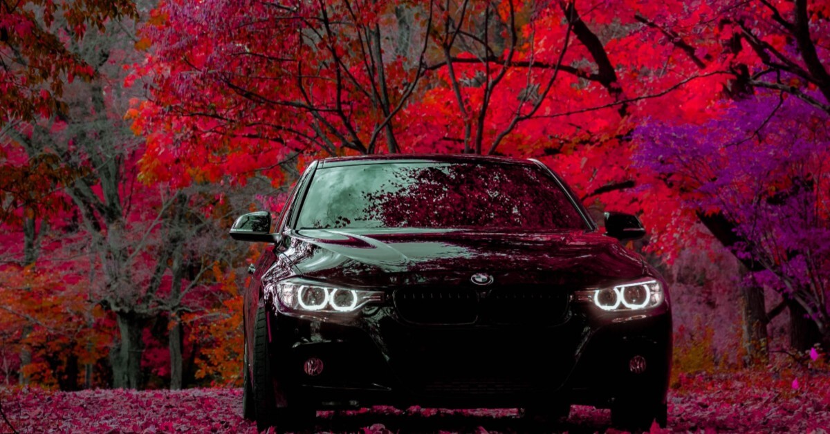 banner-3-1-5deebef352950
