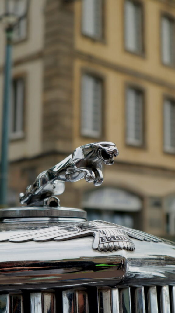jaguar-services-st-louis