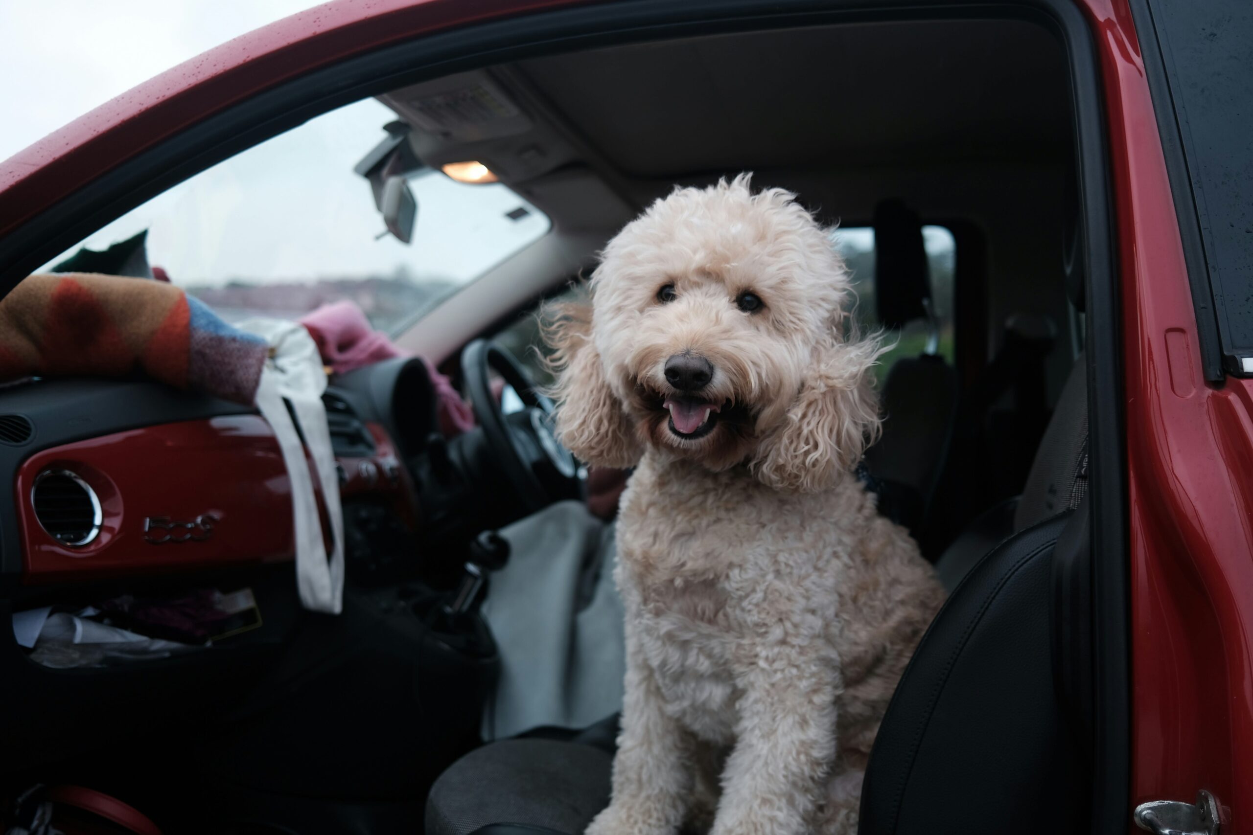 best-SUVs-for-dog-owners-repairs-costs