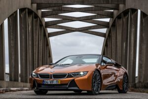 squirrels-chewing-bmw-car-wires